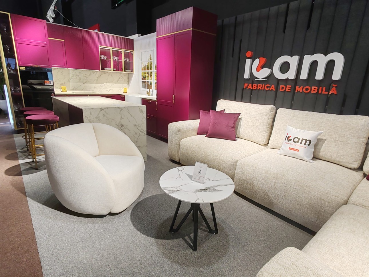 ICAM la Moldovan Urban Days – Inovație și Design Urban