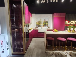 ICAM la Moldovan Urban Days – Inovație și Design Urban